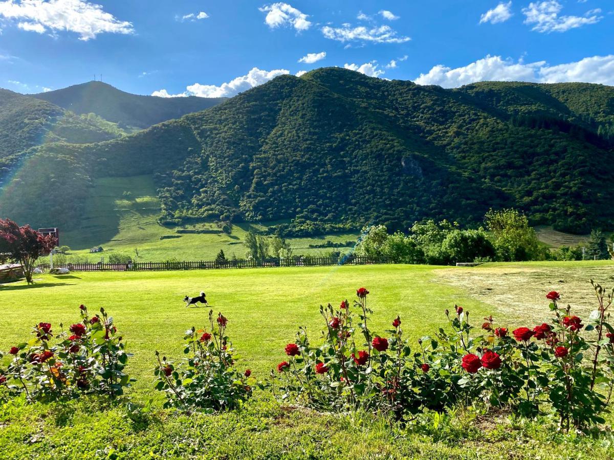 Casa Rural Alquitara โอเคโด ภายนอก รูปภาพ